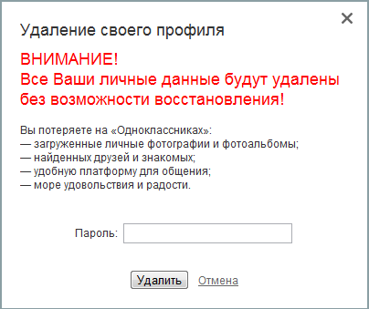Рис. 1. Окно подтверждения удаления профиля.