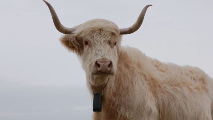 0bc78e4a-069e-4419-82ae-c75b1d93bb98