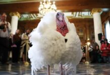 Дивовижна історія святкової Туреччини