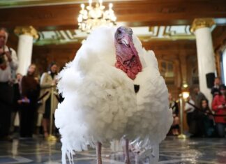 A surpreendente história do Dia de Ação de Graças na Turquia