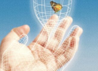 AI-wijncombinaties: beter presteren dan sommeliers? 🍷