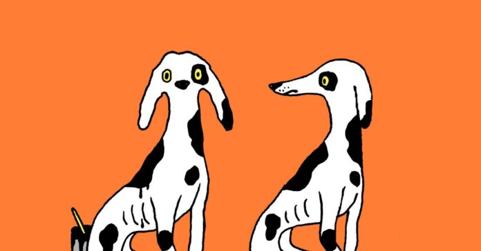 02cc6f60-8c5c-4874-a7f9-294fdbdc496c