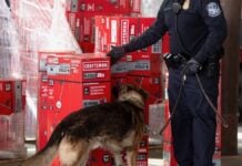 Новий портал CBP для спрощення процесу повернення тарифних зборів після рішення Верховного суду