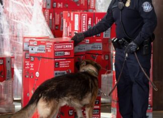 Nowy portal CBP usprawniający proces zwrotu taryfy po decyzji Sądu Najwyższego