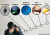 Як усунути статичний шум та перешкоди на стаціонарних телефонах